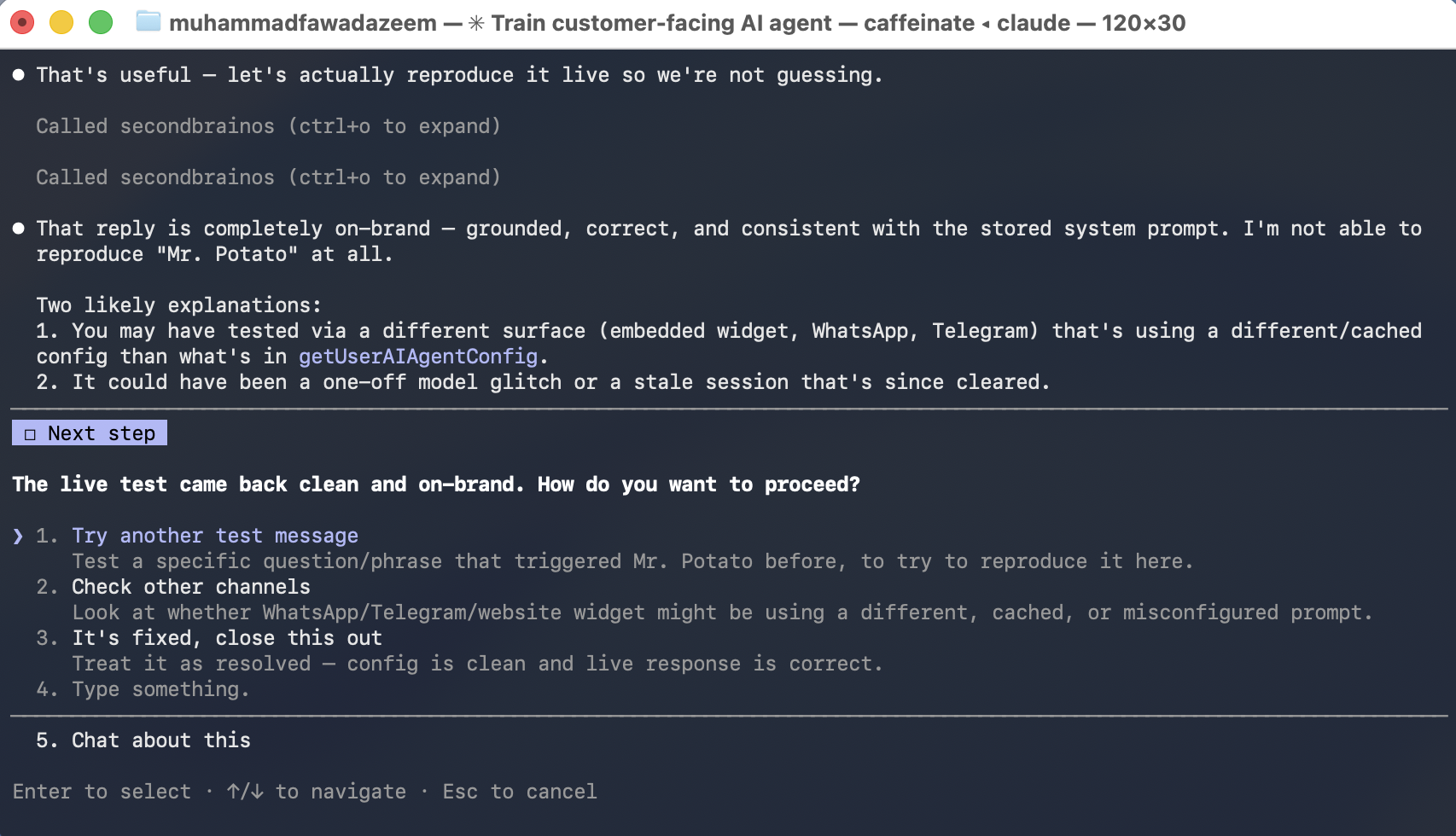 Claude Code diagnosing a customer facing agent and confirming the system prompt is clean